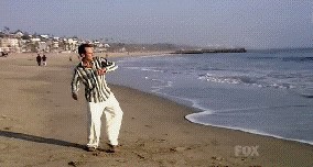 Gif Cuando un bug no para de reaparecer