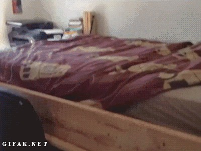 Gif Las mañanas cuando haces teletrabajo