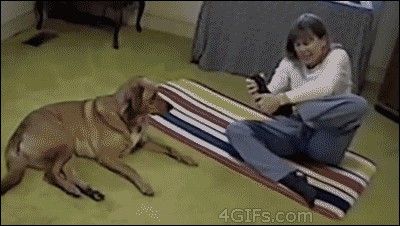 Gif Cuando llevo 3 días trabajando en un bug y lo arregla el nuevo junior