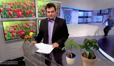 Gif Cuando mi jefe quiere saber quién ha borrado la tabla que no era