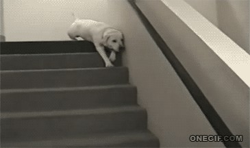 Gif Todos los lunes por la mañana