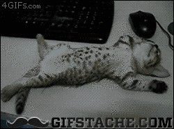 Gif Cuando intento trabajar después de comer demasiado