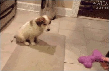 Gif Cuando mi jefe me pide que arregle un bug el viernes por la noche