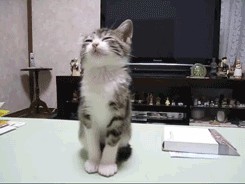 Gif Cuando me siento en la oficina el lunes por la mañana