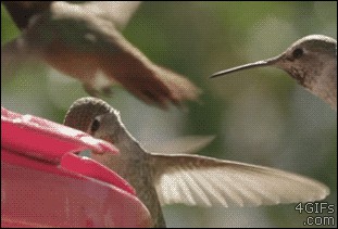 Gif Cuando alguien trastea con mi código