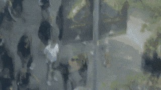 Gif Arreglando la cafetera un lunes por la mañana