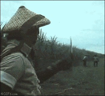 Gif Cuando arreglo dos bugs con una sola línea de código